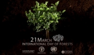 Erdők Nemzetközi Napja - Március 21 - UN-FAO videó