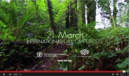 Erdők Nemzetközi Napja - 2015 - FAO videóspot