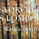 Gyökerek és Lombok - Erdészportrék - 10. kötet